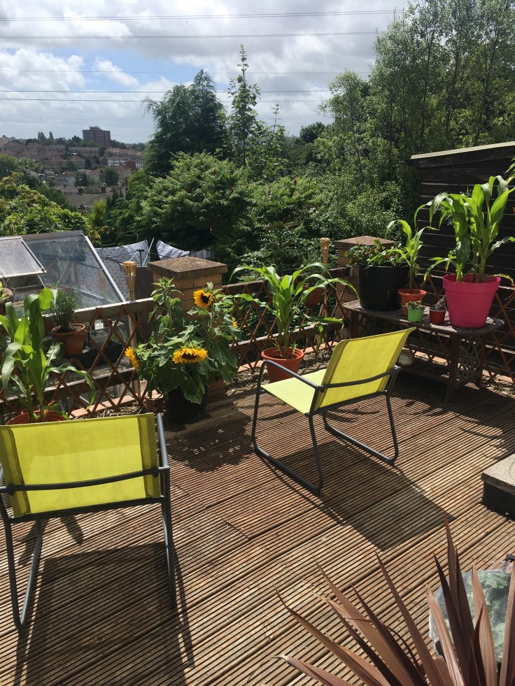 Decking housing many different plants that can be grown in containers