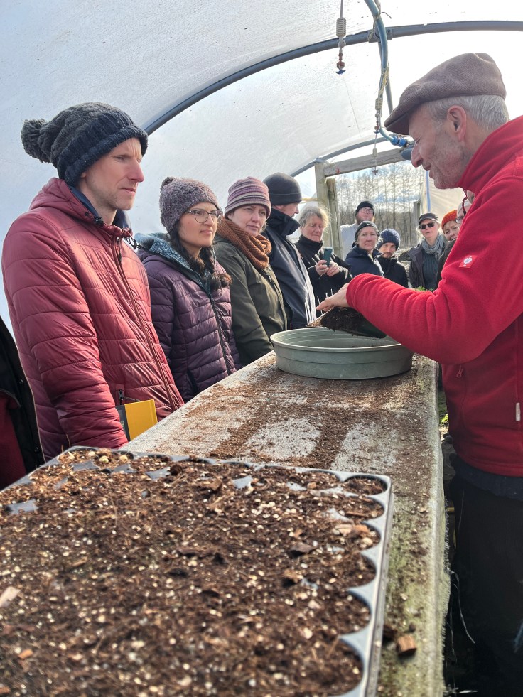 Seed sowing in a poly tunnel