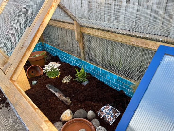 Lenny enjoying her outdoor set up