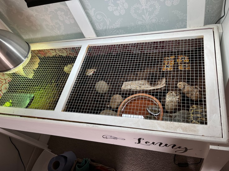 Indoor table refresh