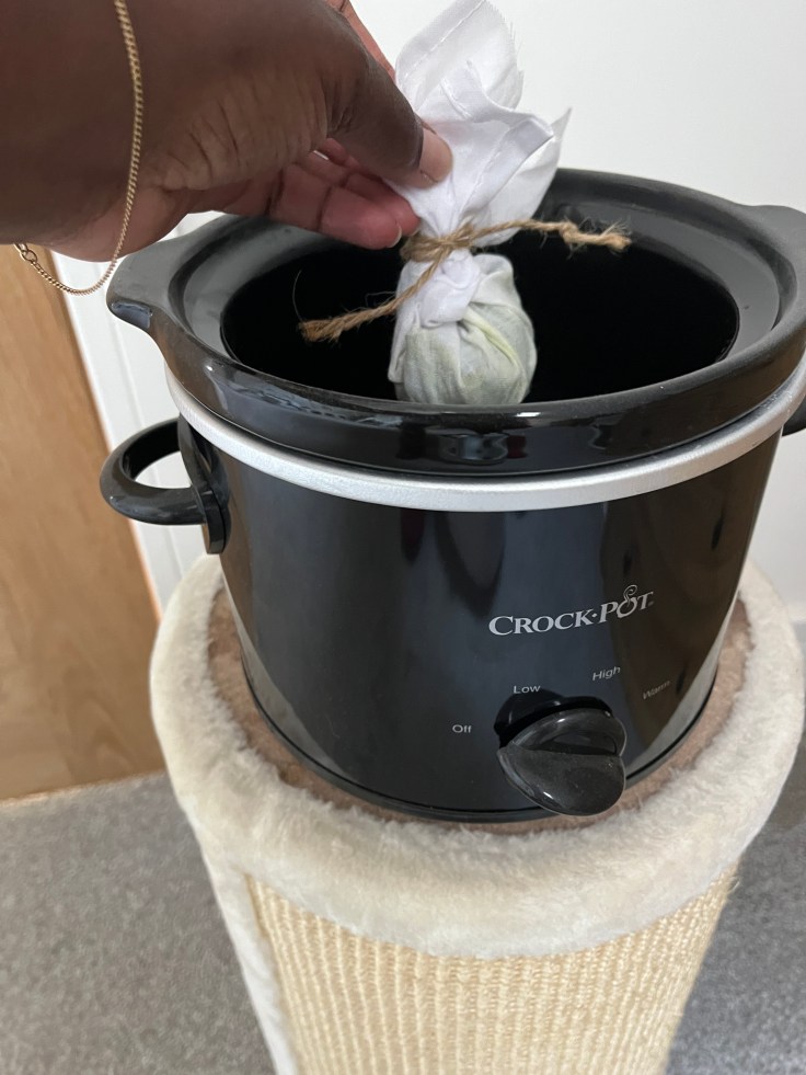 Crockpot and fresh bouquet garni